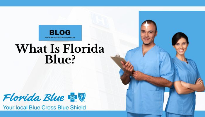 What Is Florida Blue? - Understanding the Essence of Florida Blue