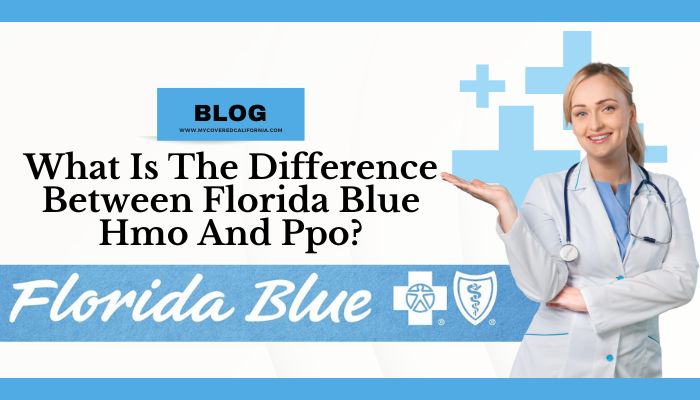 What Is The Difference Between Florida Blue Hmo And Ppo